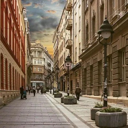 Knez ベオグラード